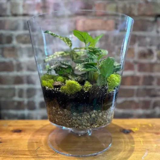 Large Glass Terrarium